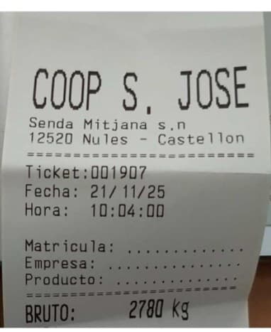 Pesaje de la furgoneta en una báscula oficial